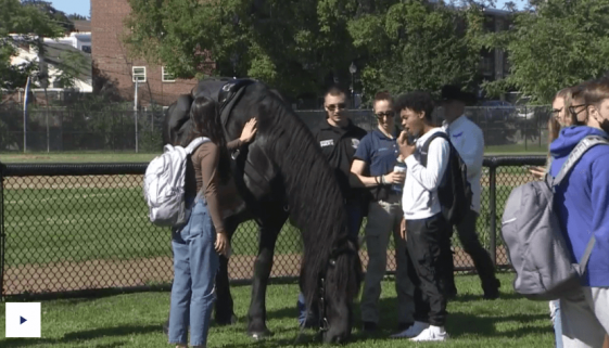 hoa-oh-hay-everett-residents-receive-special-visit-from-hercules-the-horse