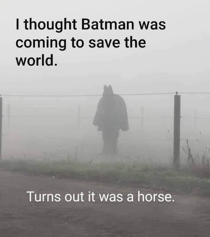 horses-batman